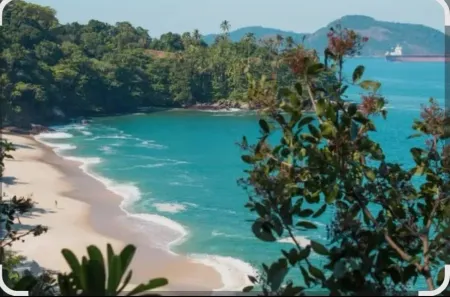 Imóvel Comercial à venda, 270000000m² no Sítio Bom, Mangaratiba