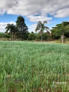 Fazenda/Sítio à venda, 20000m² no Sede, Marialva