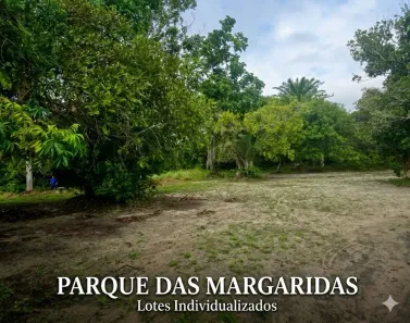 Lote/Terreno à venda, 1000m² no , Salinas da Margarida