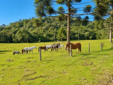 Fazenda/Sítio com 5 Quartos à venda, 3681067m² no , Tijucas do Sul