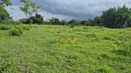 Lote/Terreno à venda, 25000m² no Loteamento Residencial São Vicente de Paulo, Tremembé