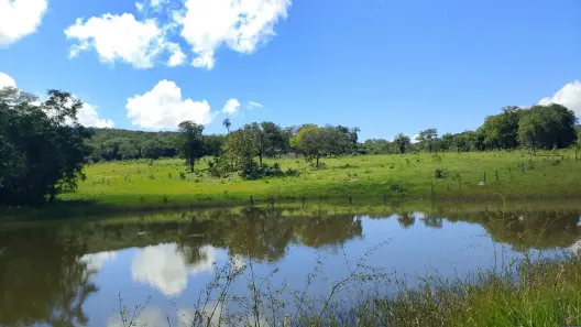 Fazenda/Sítio com 2 Quartos à venda, 1548800m² no , Iporá