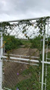 Lote/Terreno à venda, 16000m² no Terra Nova, Taubaté
