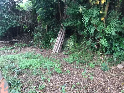 Lote/Terreno à venda, 639m² no Horto Florestal, São Paulo
