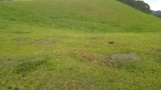 Fazenda/Sítio à venda, 20000m² no , Piracaia