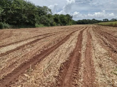 Fazenda/Sítio à venda, 247000m² no , Curvelo