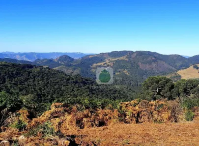 Lote/Terreno à venda, 20000m² no , Gonçalves