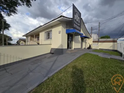 Ponto Comercial para alugar, 18m² no Hauer, Curitiba