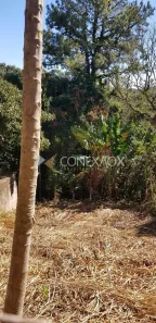 Lote/Terreno à venda, 319m² no Jardim Sorirama (Sousas), Campinas