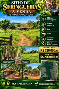 Fazenda/Sítio com 3 Quartos à venda, 242000m² no Centro, Monte Aprazível