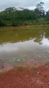Fazenda/Sítio com 3 Quartos à venda, 127m² no Faval, Nossa Senhora do Livramento