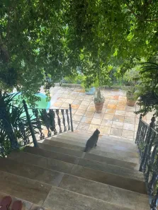 Sobrado com 3 Quartos à venda, 250m² no Laranjeiras, Rio de Janeiro