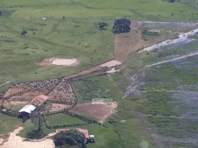 Fazenda/Sítio à venda, 889450000m² no , Poconé