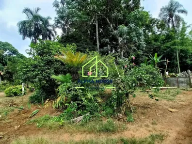 Lote/Terreno à venda, 5000m² no Jardim Rosely, Pindamonhangaba