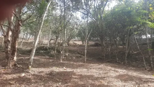 Lote/Terreno à venda, 1240m² no , Santo Antônio do Pinhal