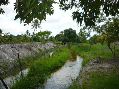 Fazenda/Sítio com 5 Quartos à venda, 15000m² no , São José de Mipibu