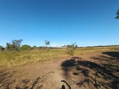 Fazenda/Sítio com 2 Quartos para alugar, 300m² no Área Rural de Uberlândia, Uberlândia