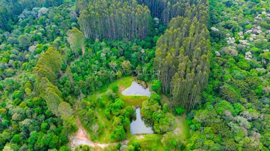 Lote/Terreno à venda, 154054m² no Chacaras Olhos D Agua, Campina Grande do Sul