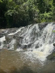 com 5 Quartos à venda, 800000m² no Área Rural de Ilhéus, Ilhéus