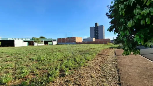 Lote/Terreno à venda, 250m² no Jardim Amália, Sertãozinho