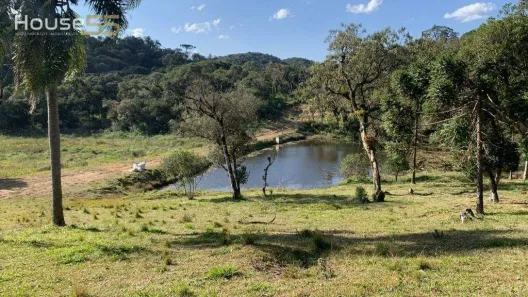 Fazenda/Sítio com 1 Quarto à venda, 40m² no Borda do Campo, São José dos Pinhais