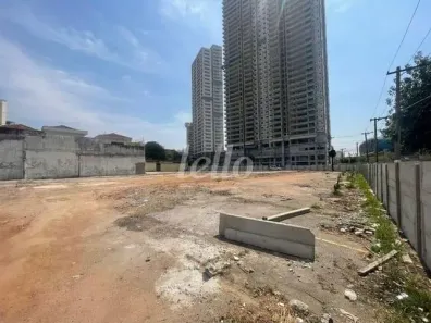 Lote/Terreno para alugar, 3939m² no Vila Nair, São Paulo