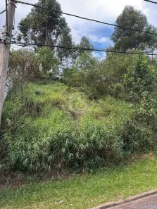 Lote/Terreno à venda, 1367m² no Alphaville - Lagoa dos Ingleses, Nova Lima