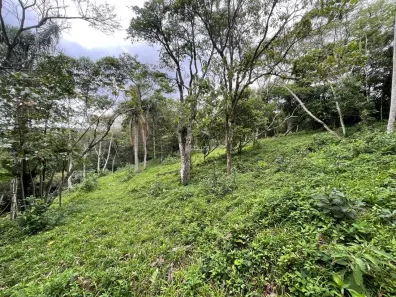 Lote/Terreno à venda, 7652m² no Centro, Paulo Lopes