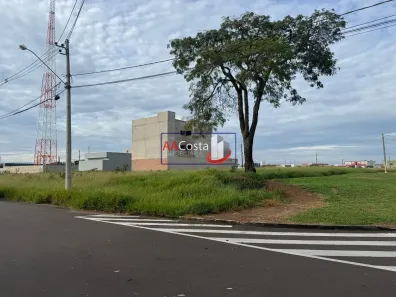 à venda, 250m² no Jardim Doutor Antônio Petráglia, Franca