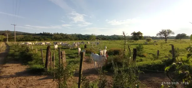 Fazenda/Sítio com 4 Quartos à venda, 260m² no Jardim São Dimas, São José dos Campos
