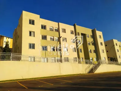 Apartamento com 2 Quartos para alugar, 39m² no Estrela, Ponta Grossa