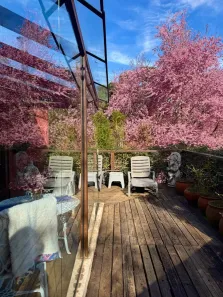 Casa com 2 Quartos à venda, 2260m² no centro, Gonçalves