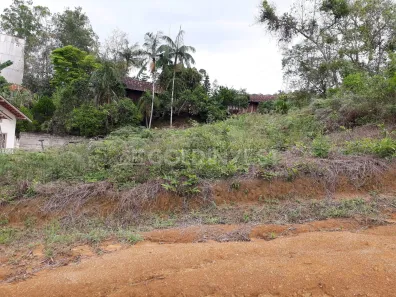 Lote/Terreno à venda, 492m² no Tomaz Coelho, Brusque