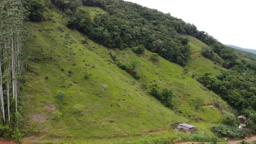  com 2 Quartos à venda, 61m² no Área Rural de Antônio Carlos, Antônio Carlos