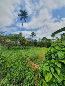 Lote/Terreno à venda, 1200m² no Vargem Grande, Rio de Janeiro