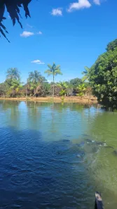 Fazenda/Sítio com 3 Quartos à venda, 30000m² no , Brasília