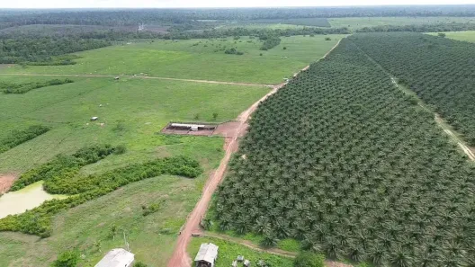 Fazenda/Sítio à venda, 45000000m² no , Tailândia