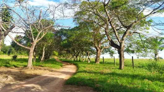 Fazenda/Sítio à venda, 110m² no , Vila Rica