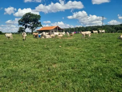 Fazenda/Sítio com 2 Quartos à venda, 435600m² no , Porangaba