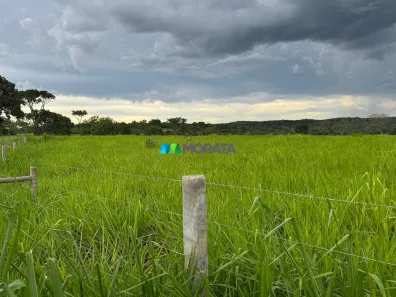 Fazenda/Sítio com 1 Quarto à venda, 81m² no , Cordisburgo