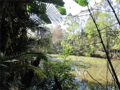 Lote/Terreno à venda, 10m² no Jardim dos Estados, São Paulo