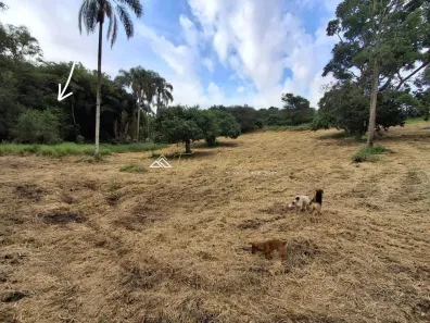 Lote/Terreno à venda, 3000m² no , Gonçalves