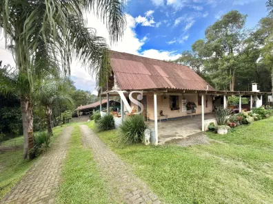 Fazenda/Sítio com 6 Quartos à venda, 11550m² no Campina do Taquaral, São José dos Pinhais