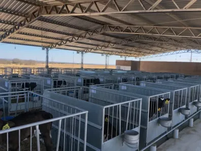 Fazenda/Sítio com 4 Quartos à venda, 12000000m² no Centro, João Pinheiro