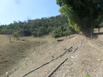 Lote/Terreno à venda, 55000m² no , Sapucaia