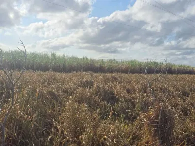 Lote/Terreno à venda, 10000m² no Distrito Industrial, Goiana