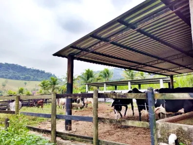 Fazenda/Sítio com 3 Quartos à venda, 150000m² no Centro (Sambaetiba), Itaboraí