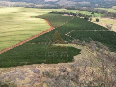Fazenda/Sítio com 5 Quartos à venda, 255600m² no , Altinópolis