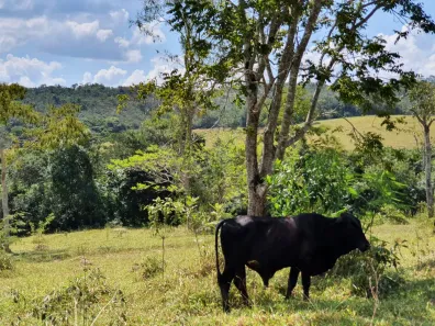 Lote/Terreno à venda, 20000m² no Zona Rural, Fortuna de Minas