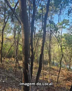 Lote/Terreno à venda, 2800m² no Gentileza, Betim